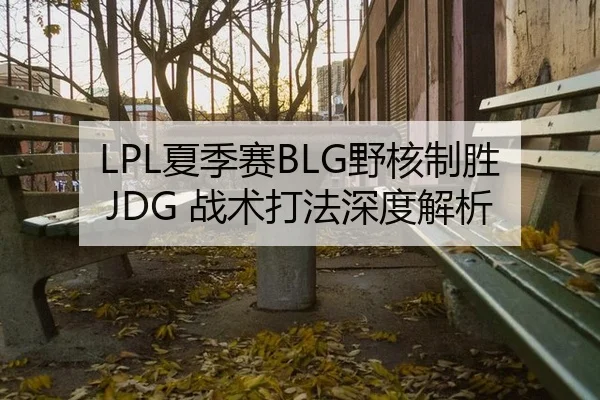 LPL夏季赛BLG野核制胜JDG 战术打法深度解析